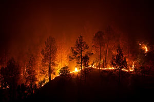 wildfires-snapshot-img